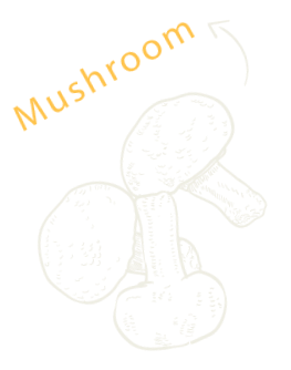 00950a68 desi obj 10.png