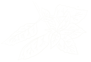 5932d8aa desi obj 6.png