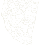 efdb7dd3 desi image obj 011.png